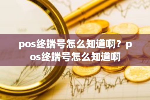 pos终端号怎么知道啊？pos终端号怎么知道啊