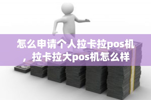 怎么申请个人拉卡拉pos机，拉卡拉大pos机怎么样