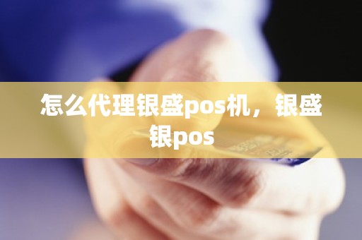 怎么代理银盛pos机，银盛银pos