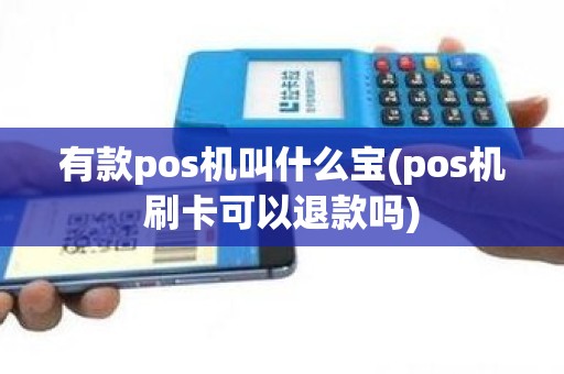 有款pos机叫什么宝(pos机刷卡可以退款吗)