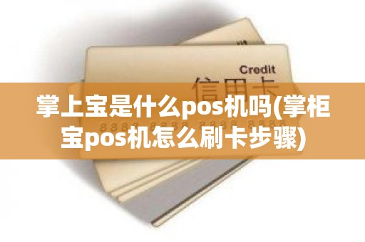 掌上宝是什么pos机吗(掌柜宝pos机怎么刷卡步骤)