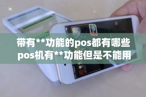 带有**功能的pos都有哪些 pos机有**功能但是不能用