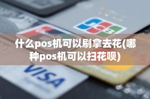 什么pos机可以刷拿去花(哪种pos机可以扫花呗)