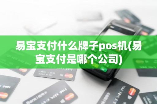 易宝支付什么牌子pos机(易宝支付是哪个公司)