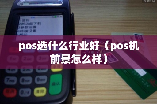 pos选什么行业好（pos机前景怎么样）