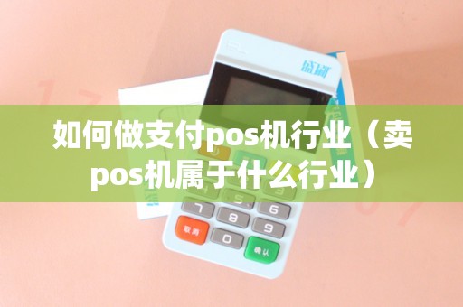 如何做支付pos机行业（卖pos机属于什么行业）