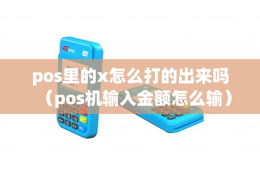 pos里的x怎么打的出来吗（pos机输入金额怎么输）