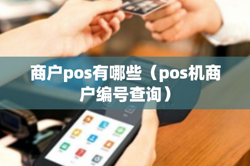 商户pos有哪些（pos机商户编号查询）