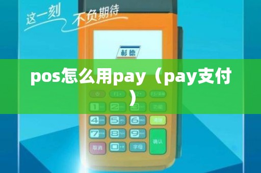 pos怎么用pay（pay支付）