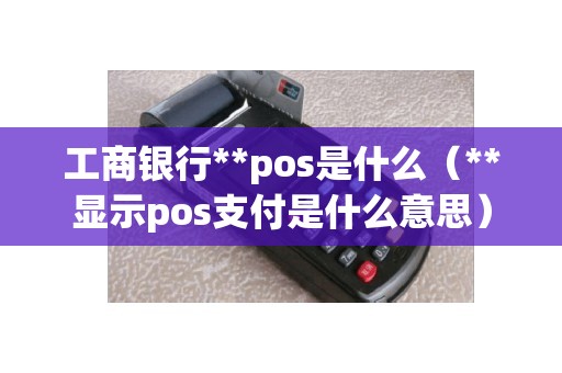 工商银行**pos是什么（**显示pos支付是什么意思）