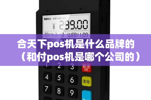 合天下pos机是什么品牌的（和付pos机是哪个公司的）