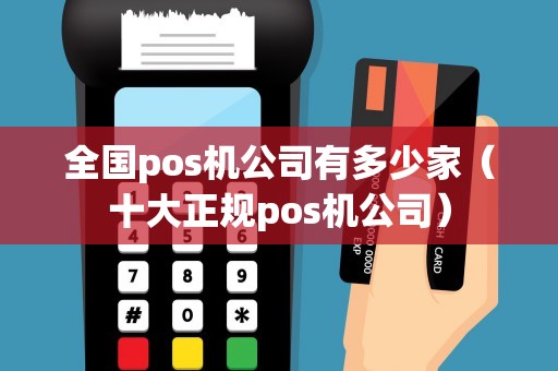 全国pos机公司有多少家（十大正规pos机公司）