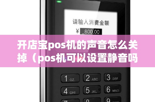 开店宝pos机的声音怎么关掉（pos机可以设置静音吗）