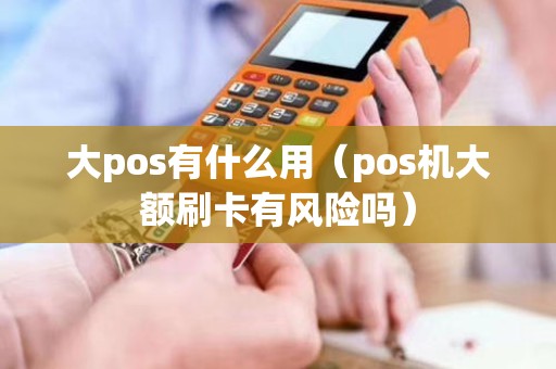 大pos有什么用（pos机大额刷卡有风险吗）