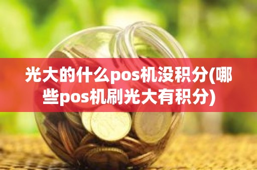 光大的什么pos机没积分(哪些pos机刷光大有积分)