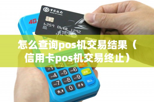 怎么查询pos机交易结果（信用卡pos机交易终止）