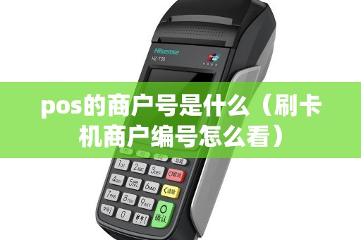 pos的商户号是什么（刷卡机商户编号怎么看）