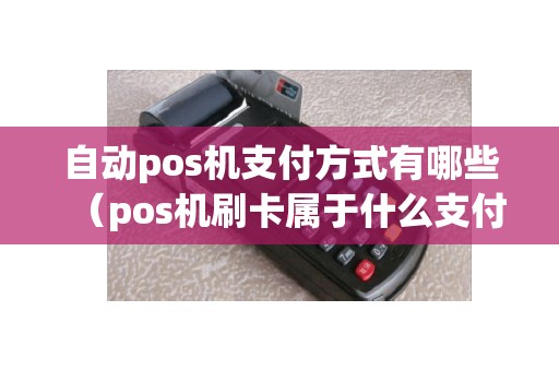 自动pos机支付方式有哪些（pos机刷卡属于什么支付方式）