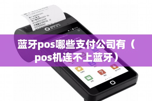 蓝牙pos哪些支付公司有（pos机连不上蓝牙）