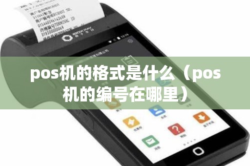 pos机的格式是什么（pos机的编号在哪里）