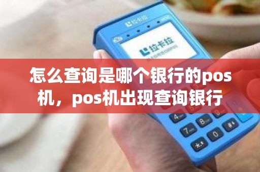 怎么查询是哪个银行的pos机，pos机出现查询银行