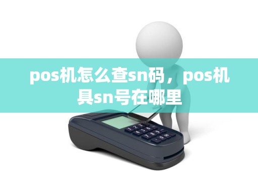 pos机怎么查sn码，pos机具sn号在哪里