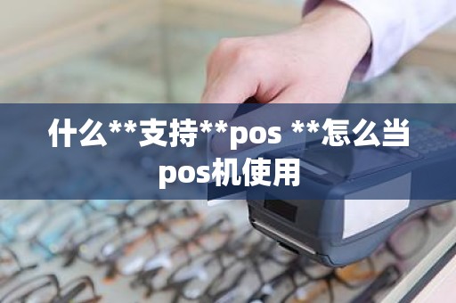 什么**支持**pos **怎么当pos机使用