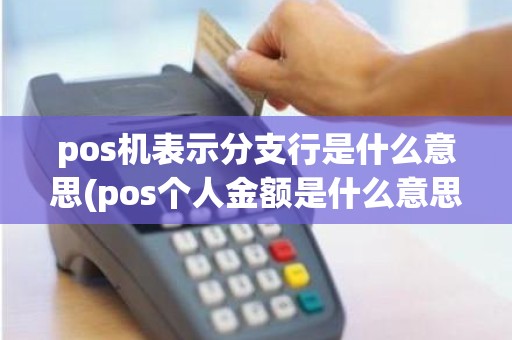 pos机表示分支行是什么意思(pos个人金额是什么意思)