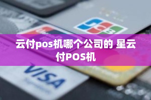 云付pos机哪个公司的 星云付POS机