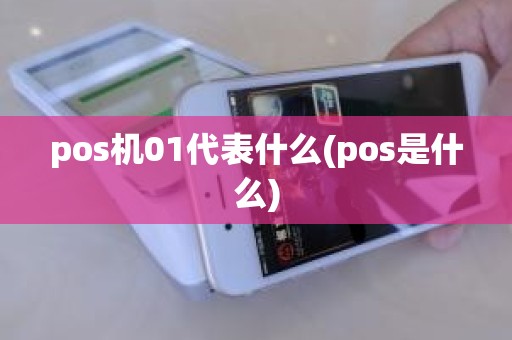 pos机01代表什么(pos是什么)