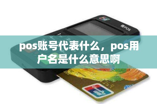 pos账号代表什么，pos用户名是什么意思啊