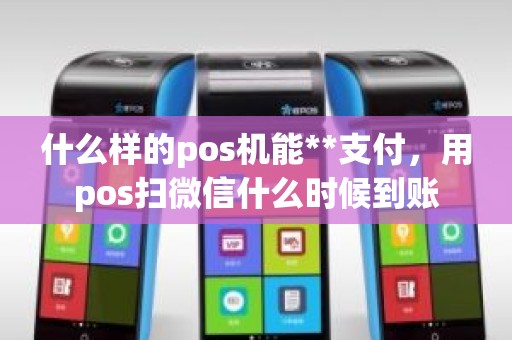 什么样的pos机能**支付，用pos扫微信什么时候到账