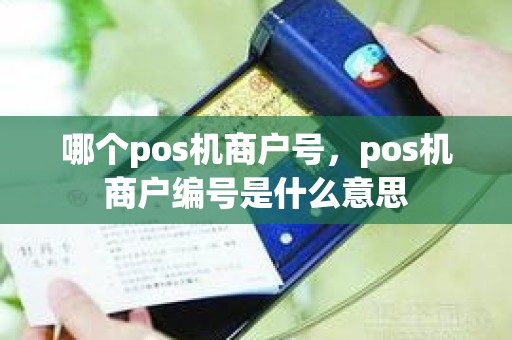 哪个pos机商户号，pos机商户编号是什么意思