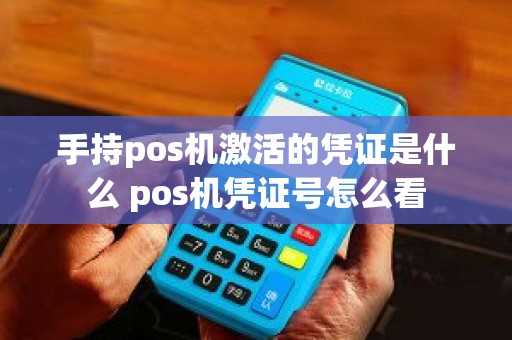 手持pos机激活的凭证是什么 pos机凭证号怎么看