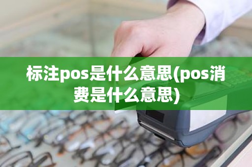 标注pos是什么意思(pos消费是什么意思)