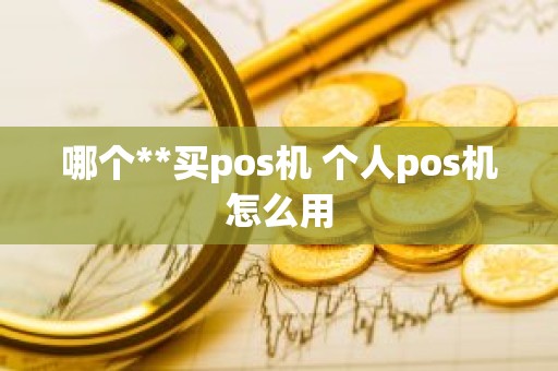 哪个**买pos机 个人pos机怎么用