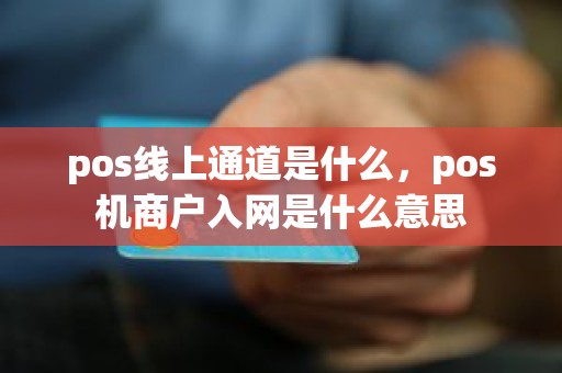 pos线上通道是什么，pos机商户入网是什么意思