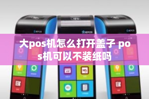 大pos机怎么打开盖子 pos机可以不装纸吗