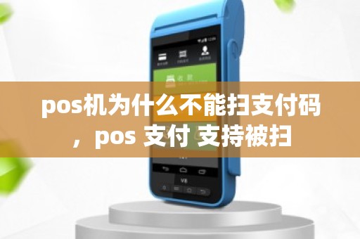 pos机为什么不能扫支付码，pos 支付 支持被扫