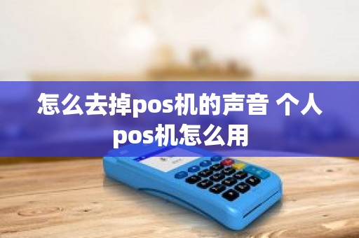 怎么去掉pos机的声音 个人pos机怎么用