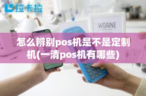 怎么辨别pos机是不是定制机(一清pos机有哪些)