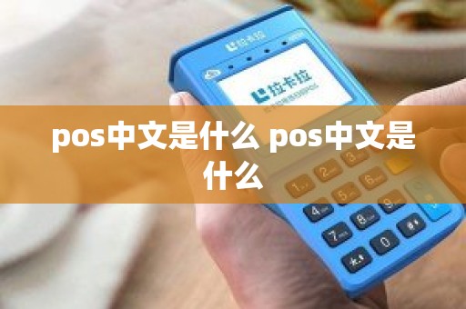 pos中文是什么 pos中文是什么