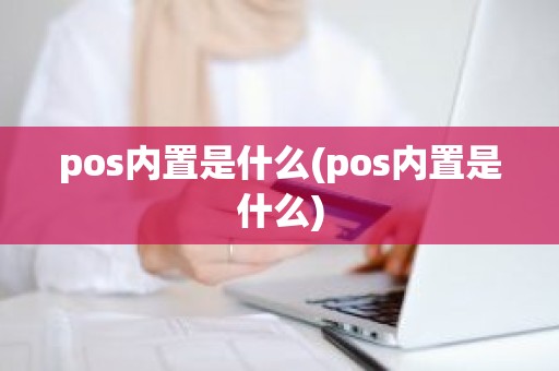 pos内置是什么(pos内置是什么)