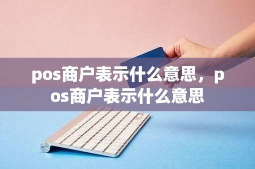 pos商户表示什么意思，pos商户表示什么意思