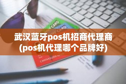 武汉蓝牙pos机招商代理商(pos机代理哪个品牌好)