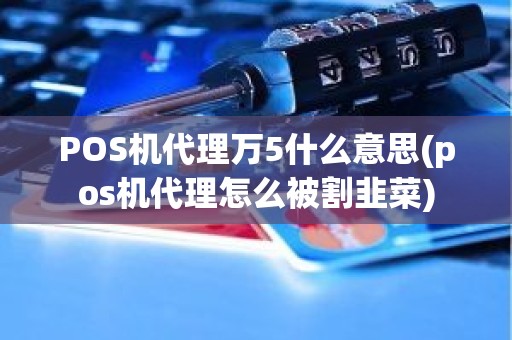 POS机代理万5什么意思(pos机代理怎么被割韭菜)