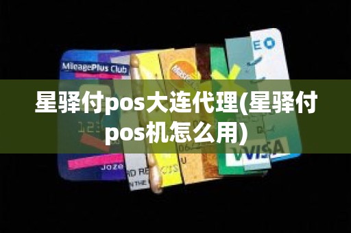 星驿付pos大连代理(星驿付pos机怎么用)