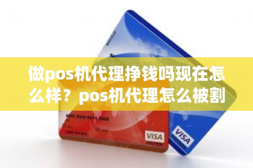 做pos机代理挣钱吗现在怎么样？pos机代理怎么被割韭菜