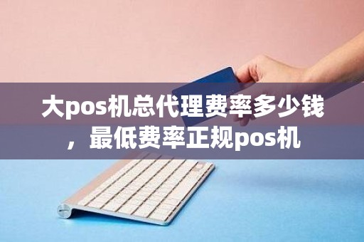 大pos机总代理费率多少钱，最低费率正规pos机