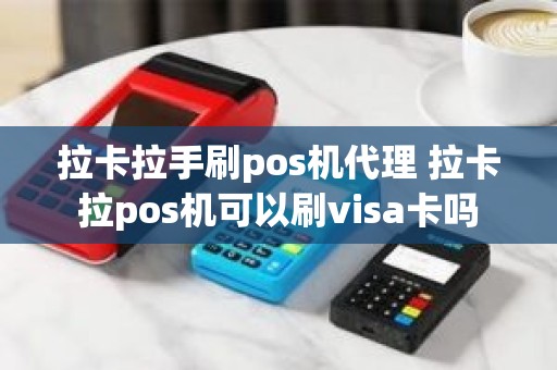 拉卡拉手刷pos机代理 拉卡拉pos机可以刷visa卡吗